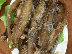 -老大同酒家·糟卤·本帮菜(中山公园店)