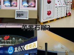 -盒马X会员店(王府井奥莱UP TOWN店)