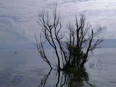 -大理洱海