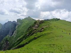 -秦岭风景区