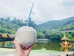 -西双版纳原始森林公园