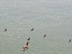 -水上乐园·欢乐世界