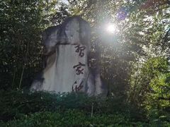 -习家池