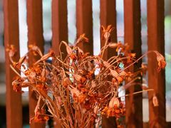 -The Flowers Coffee(南山店)