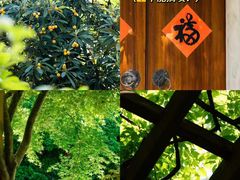 -龙华寺
