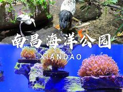 -南昌海洋公园