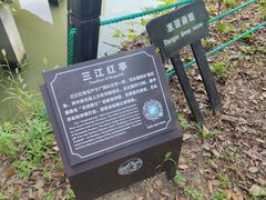 -韩湘水博园