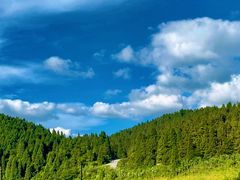 -武陵山森林公园