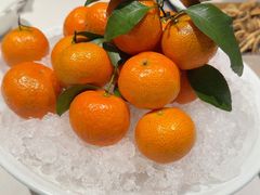 -庆和楼(北师大店)