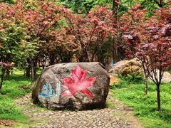 -广州市帽峰山景区