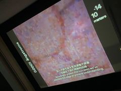 -上海当代艺术博物馆