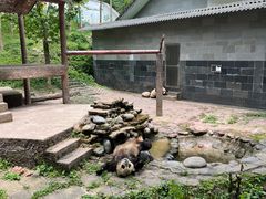 -碧峰峡风景区