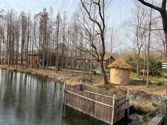 -溱湖国家湿地公园