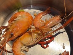 -半岛听涛蒸汽海鲜自助(K11店)
