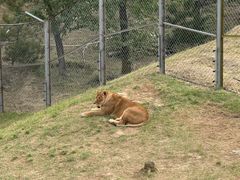 -青藏高原野生动物园
