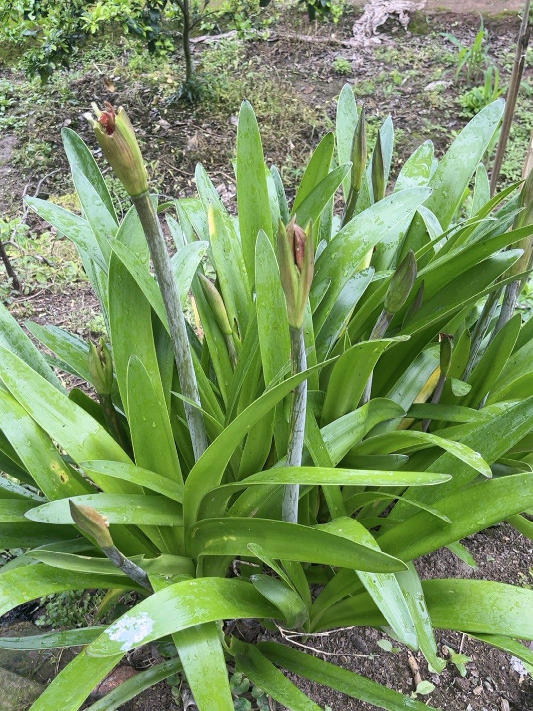 n#0元玩转这座城 #一花一草一世界