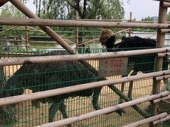 -羊亭河湿地公园