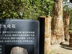 -国家植物园南园