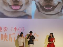 -深影国际影城(学院南路店CGS中国巨幕店)