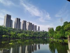 -重庆彩云湖湿地公园