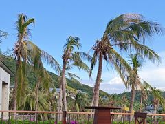 -日落吧·海景咖啡厅·餐酒吧·鸡尾酒·下午茶·乐队表演·浪漫夕阳·三亚文华东方酒店