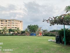 -渔家火锅·海鲜自助餐·演艺(亚龙湾天域酒店)