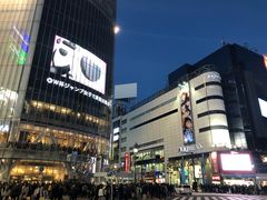 -涩谷区