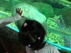-苏州海洋馆