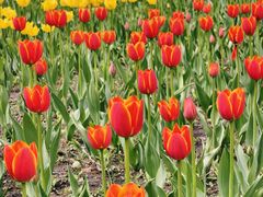 -长春公园(普阳街道)