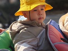 -豆初托育园 Baby Bean Day care Center