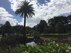 -墨尔本皇家植物园