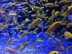 -成都浩海立方海洋公园