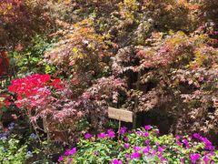 -桂林市花鸟市场