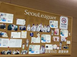 -上海首尔丽格医疗美容医院