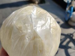 -朝阳东莞大包第一家