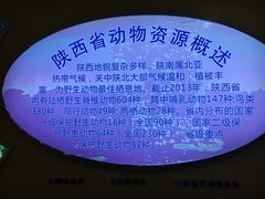 -陕西自然博物馆