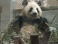 -成都动物园