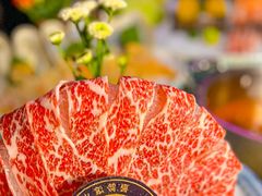 -喜聚薈·花膠雞海鮮火鍋(越秀店)