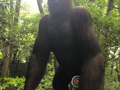 -杭州少年儿童公园