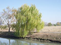 -嘉北郊野公园