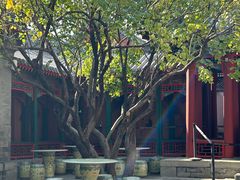 -宫事颐庭·老佛爷贵寿下午茶(颐和园店)