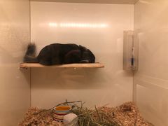 -龙猫仔乐园(惠福东路店)