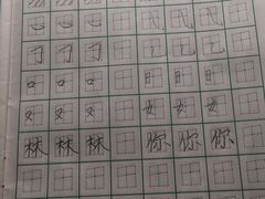 -赵汝飞练字硬笔书法(静安寺校区)