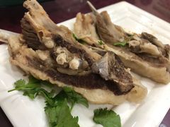 -敦煌老字号驴肉黄面(特色小吃街中段店)