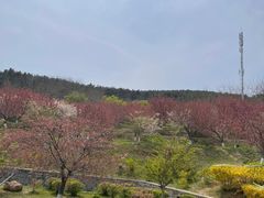 -农家铁锅炖(太阳沟店)