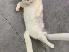 -极木²邸 人与宠物·互动社区
