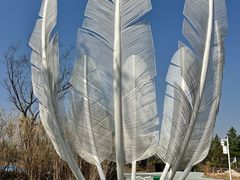 -鄱阳湖国家湿地公园