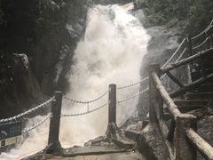 -九龙江国家森林公园