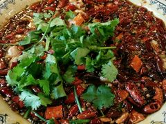 -百年老扣碗(沙坪坝店)