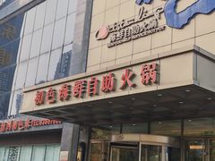 -初色海鲜自助(万丰路店)